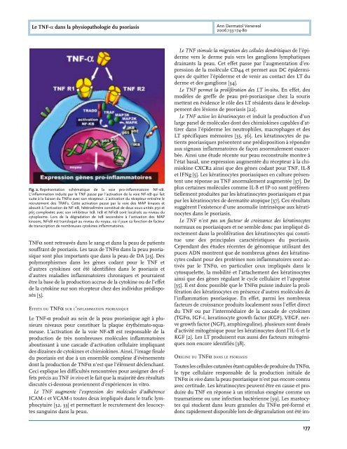 Le TNF-α dans la physiopathologie du psoriasis - Inserm