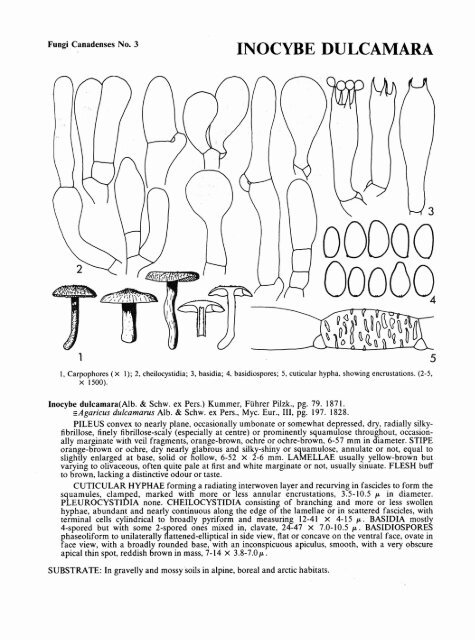 Fungi Canadenses No. 3 - Cbs