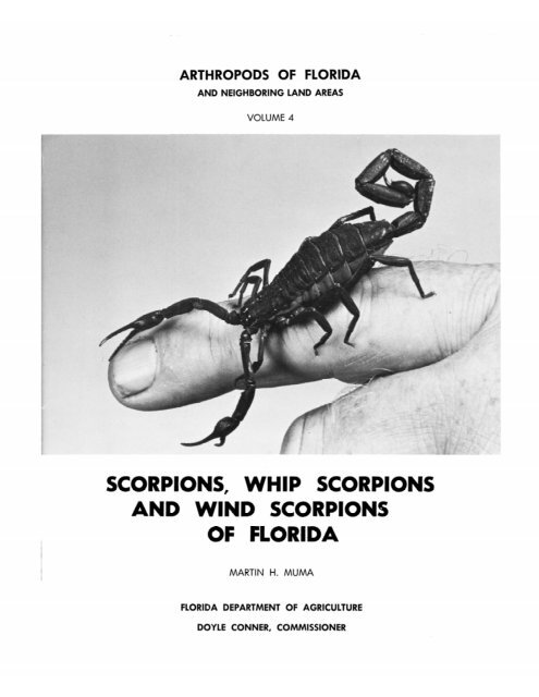 Vol. 4 - Scorpions, Whip Scorpions, and Wind Scorpions of Florida ...