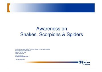 Snakes, Scorpions & Insects - NDABA Voetslaanklub