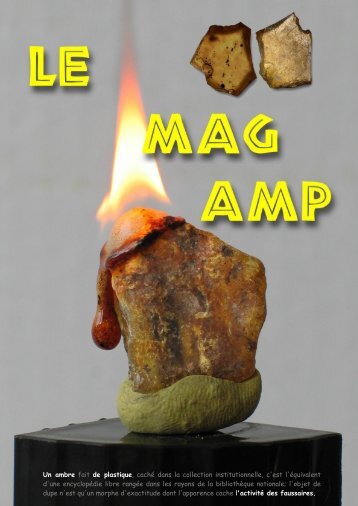 Les faux de l'ambre le dossier PDF exclusif - La Boutique à Jacques ...