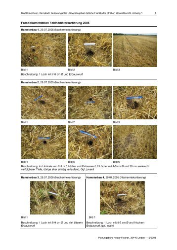 Fotodokumentation Feldhamsterkartierung 2005