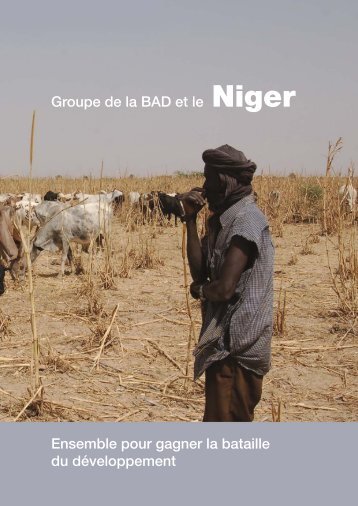 Niger - Country Profile