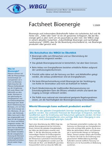 Factsheet Bioenergie - BFW