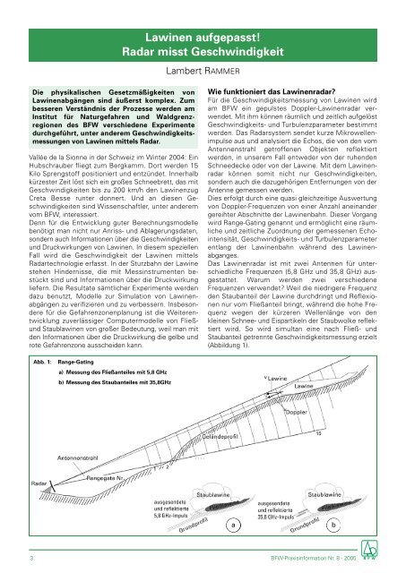 pdf [4.457 KB] - BFW