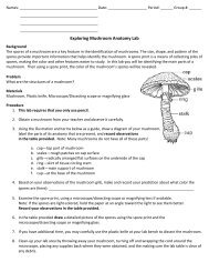 Exploring Mushroom Anatomy Lab 2009-2010