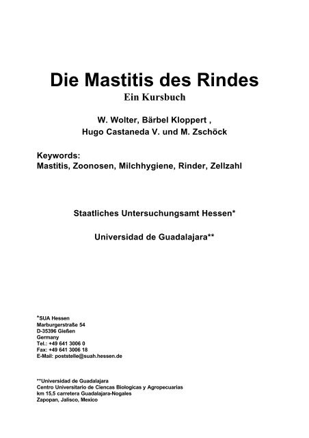 Die Mastitis Des Rindes