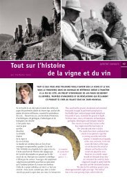 Tout sur llhistoire de la vigne et du vin