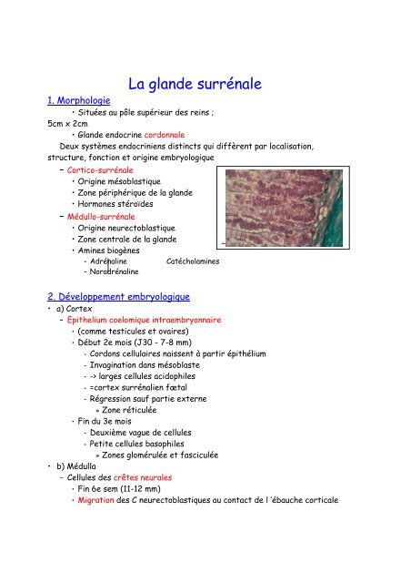 Polycopié format .pdf