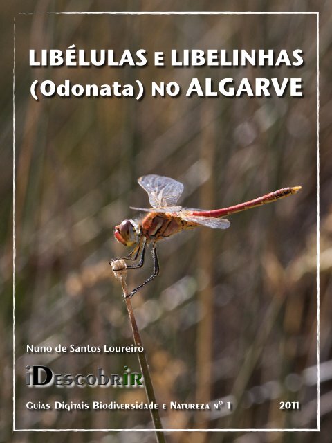 Odonatas no Algarve - iDescobrir - Avançada - Turismo do Algarve