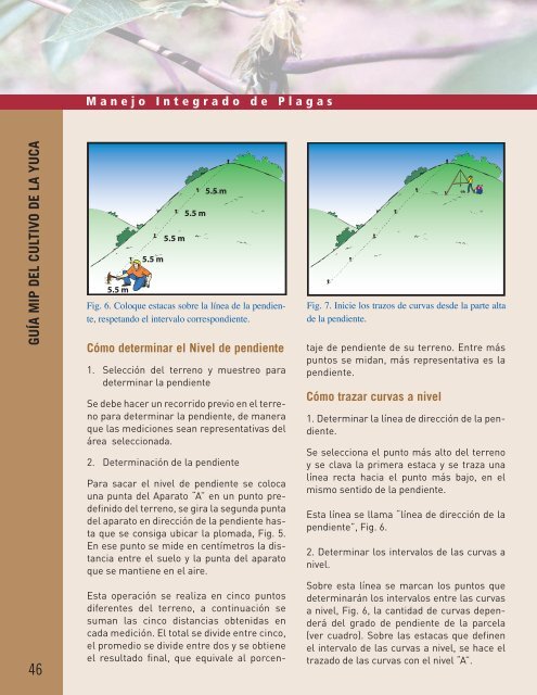 guía mip del cultivo de la yuca - Centro@Ciencia,Biblioteca Digital ...