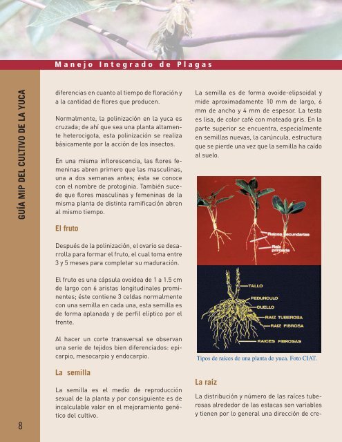 guía mip del cultivo de la yuca - Centro@Ciencia,Biblioteca Digital ...