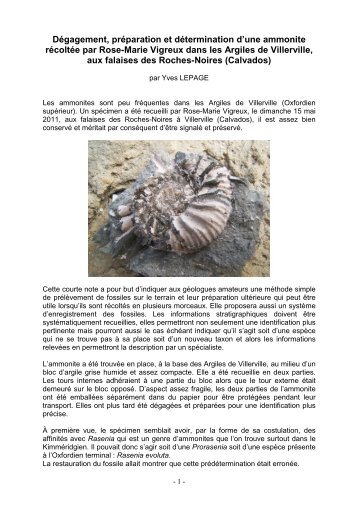 Dégagement, préparation et détermination de l'ammonite de Rose ...