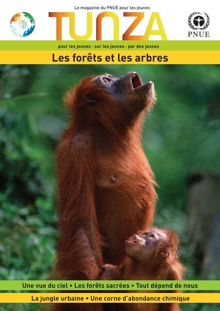 Les forêts et les arbres - UNEP