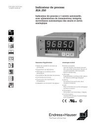 Indicateur de process RIA 250