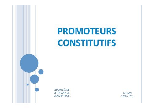 1- Promoteurs constitutifs - Master VRV : Valorisation Ressources ...