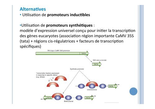 1- Promoteurs constitutifs - Master VRV : Valorisation Ressources ...