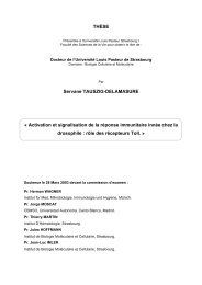 THÈSE Servane TAUSZIG-DELAMASURE « Activation et ...