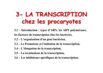 3- LA TRANSCRIPTION chez les procaryotes