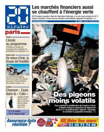 Des pigeons moins volatils