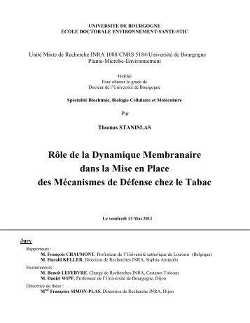 Membrane rafts in plant cells - Université de Bourgogne