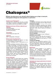 Chalcoprax® - Stähler SA