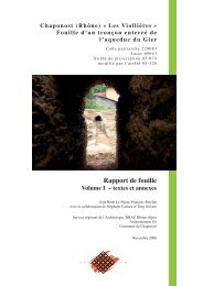 Chaponost (Rhône), « Les Viollières - Archeodunum SA