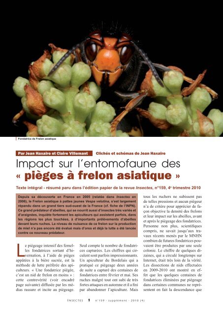 Impact sur l'entomofaune des pièges à Frelon asiatique / Insectes n ...