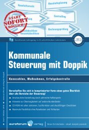 Kommunale Steuerung mit Doppik