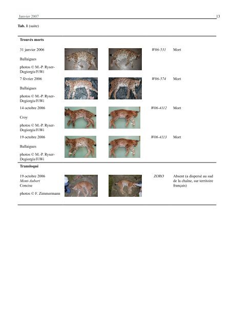 Piégeage photographique du lynx dans le Jura vaudois ... - KORA