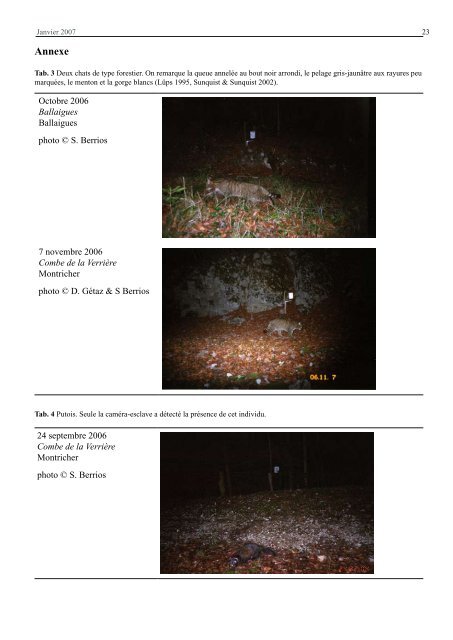 Piégeage photographique du lynx dans le Jura vaudois ... - KORA