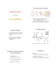 Protein Structure Hierarchy Anfinsen's Dogma Levinthal paradox ...