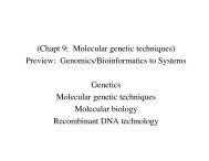 Lecture 7 - Genome Tools