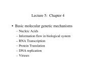 Lecture 5: Chapter 4 • Basic molecular genetic ... - Genome Tools