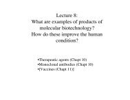 Lecture 8: What are examples of products of ... - Genome Tools