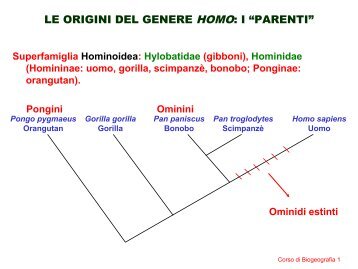 Lez.20 - Unità di Analisi e Gestione delle Risorse Ambientali