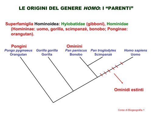 datazione alberi filogenetici