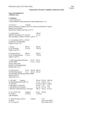 Preparation of Protein-A-antibody-coated latex beads