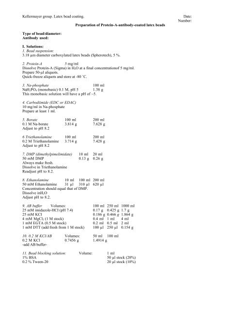 Preparation of Protein-A-antibody-coated latex beads