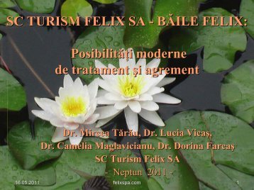 3. Prezentarea activitatii medicale in statiunea Baile Felix / Medical ...