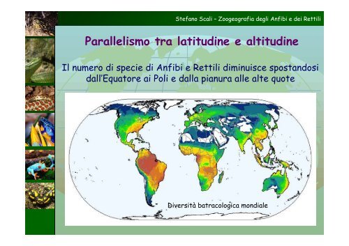 Modelli di distribuzione di Anfibi e Rettili