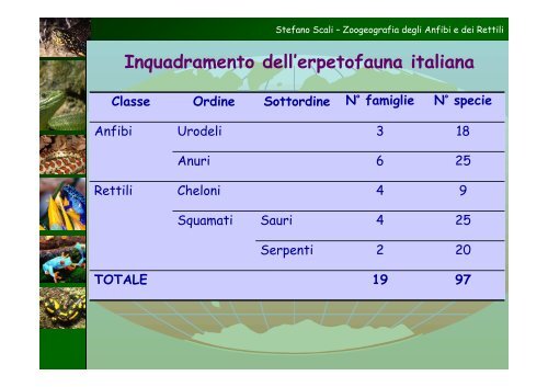 Modelli di distribuzione di Anfibi e Rettili