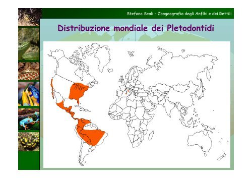 Modelli di distribuzione di Anfibi e Rettili