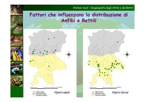 Modelli di distribuzione di Anfibi e Rettili