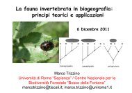 La fauna invertebrata in biogeografia: principi teorici e applicazioni