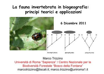 La fauna invertebrata in biogeografia: principi teorici e applicazioni