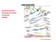 Nessun titolo diapositiva - Unità di Analisi e Gestione delle Risorse ...