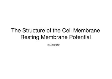 The Structure of the Cell Membrane Resting Membrane Potential
