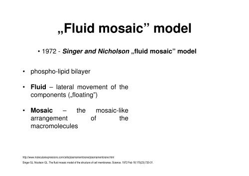 The Structure of the Cell Membrane Resting Membrane Potential