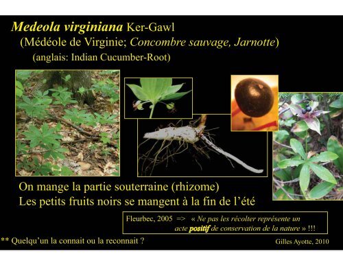 Plantes comestibles - Université Laval